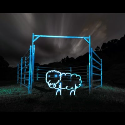 Sheep by Rob Layton. Settings: Light Trails mode